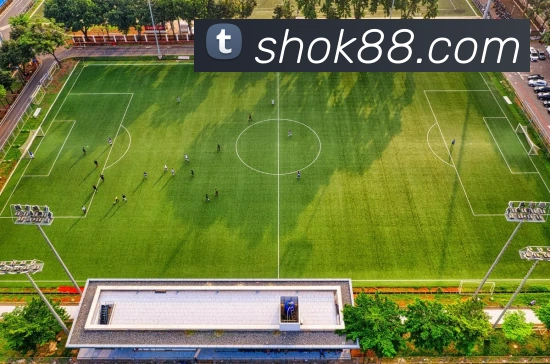 盛煌娱乐官网品牌故事